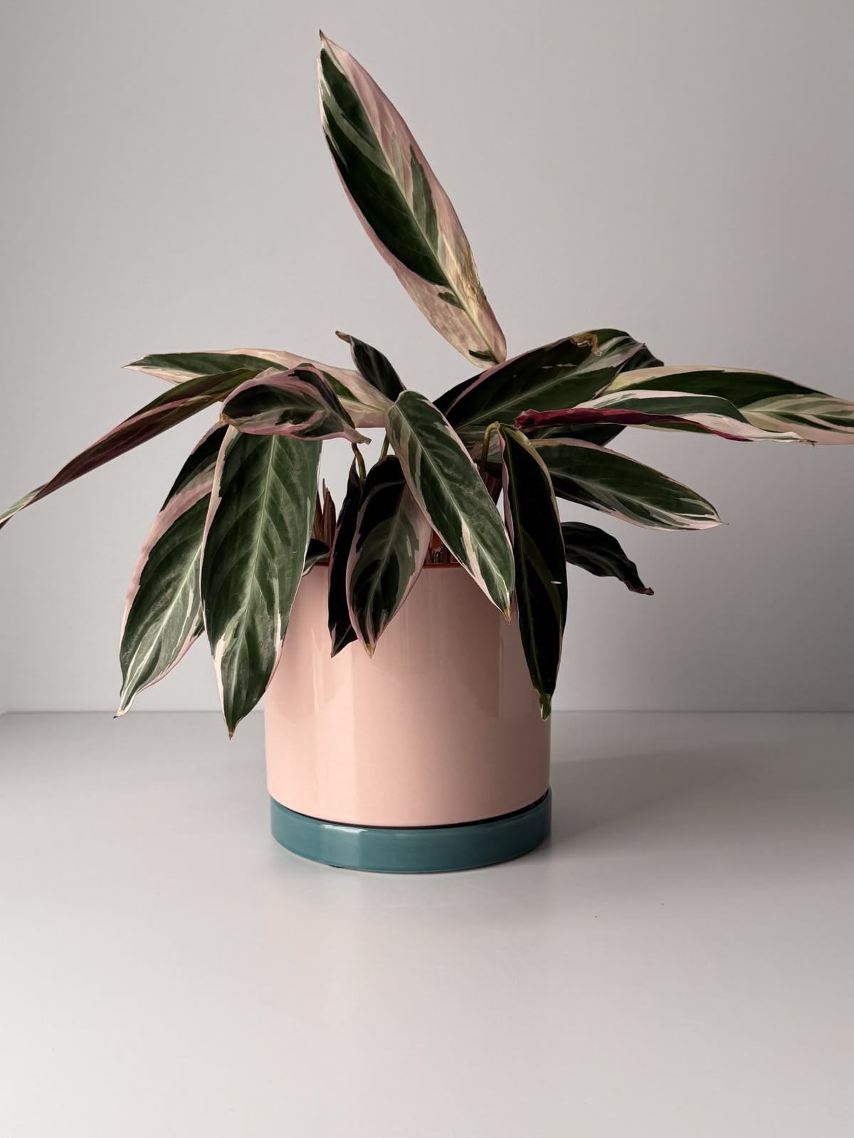 Dusk Satin Plant Pot