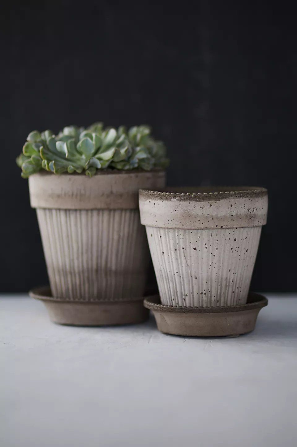 Oyster Satin Seedling Pot